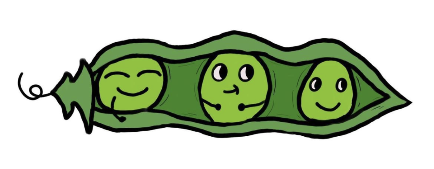 Growing Peas